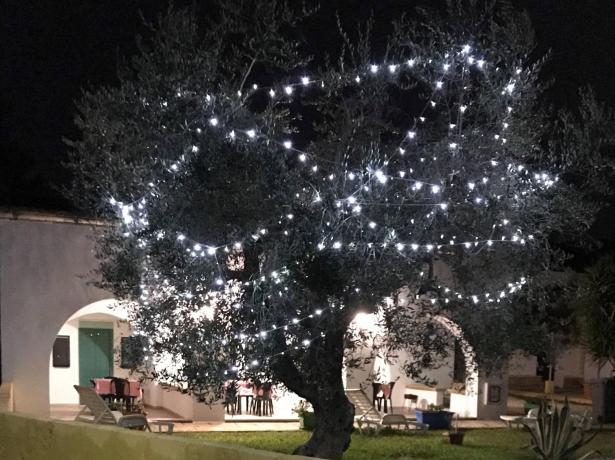 Albero decorato con luci bianche davanti a un edificio.