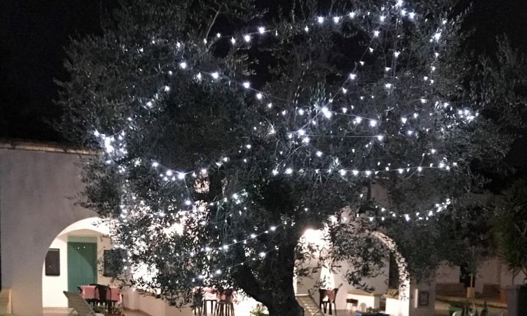 Albero decorato con luci bianche davanti a un edificio.